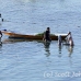 farming_seaweed_nlem_h_0450_bal3716.jpg